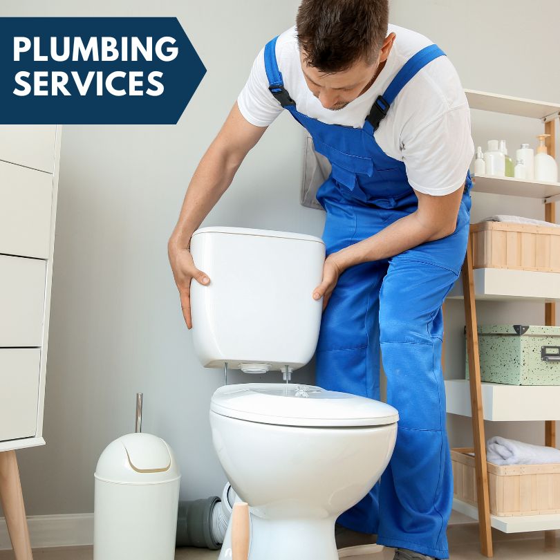 Plumbing Company in Willisville, IL